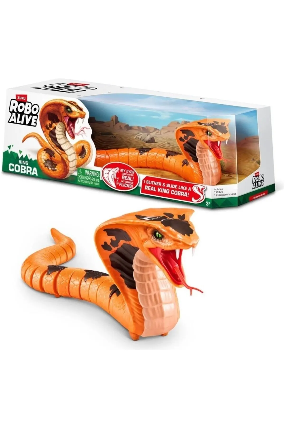 1_org_zoom - 2025-05-29T155019.976