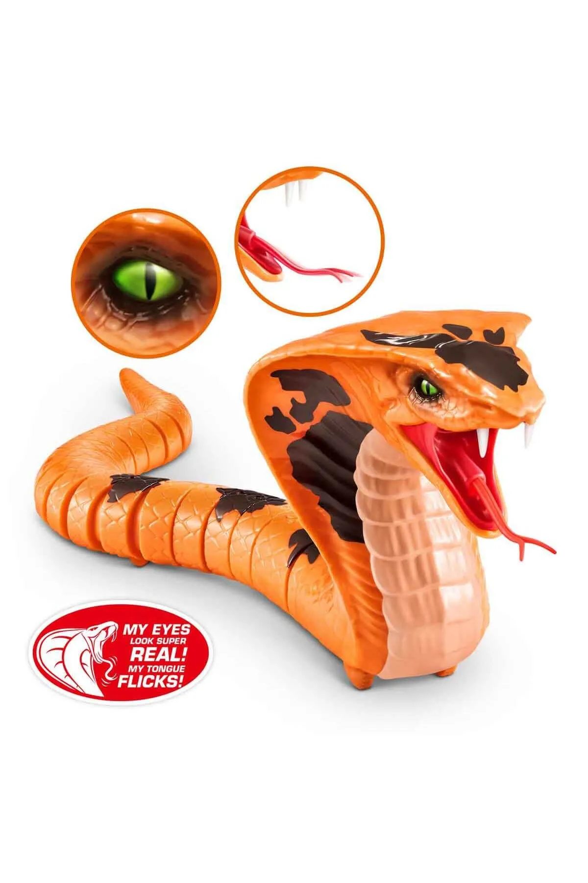 1_org_zoom - 2025-05-29T155033.341