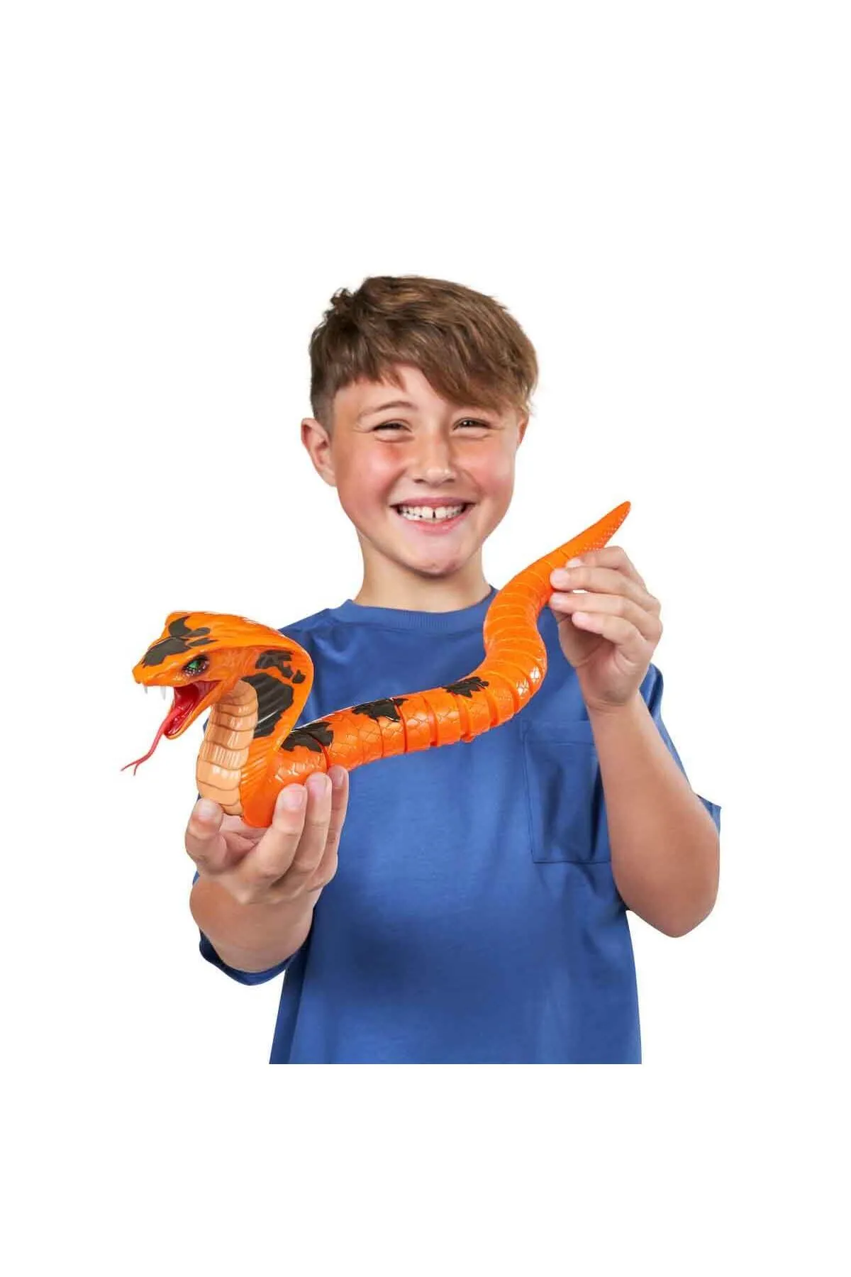 1_org_zoom - 2025-05-29T155045.741