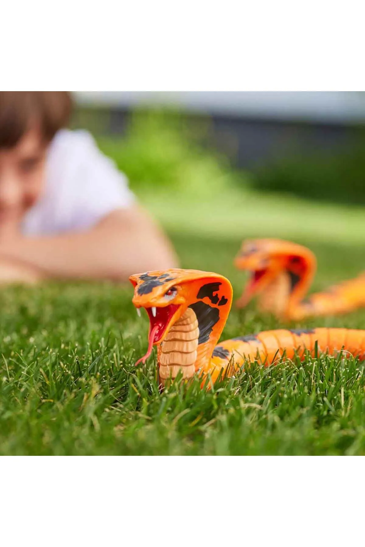 1_org_zoom - 2025-05-29T155051.196