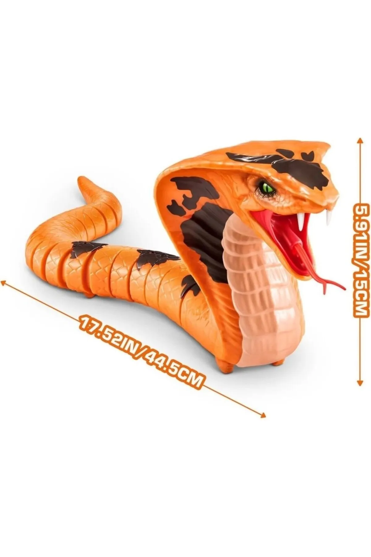 1_org_zoom - 2025-05-29T155057.186